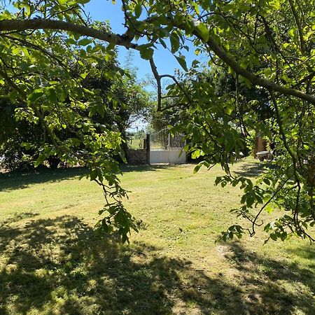 Chavannes-Sur-ReyssouzeLes Anges Bleus别墅 外观 照片